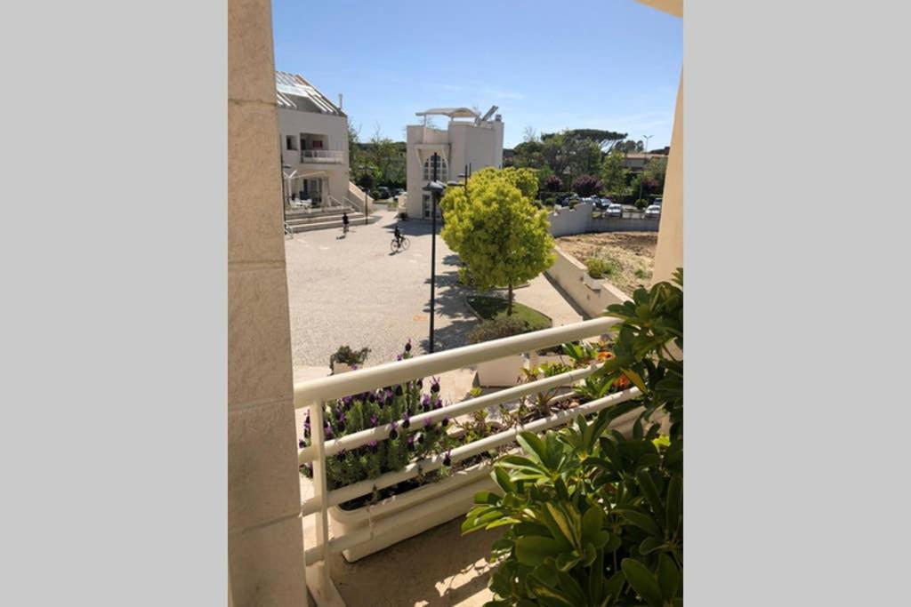 La Suite Sul Borgo Fregenae Dış mekan fotoğraf